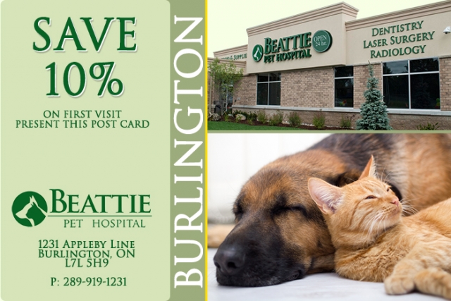 brantford-graphic-design
