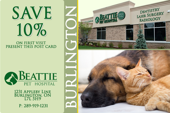 brantford-graphic-design